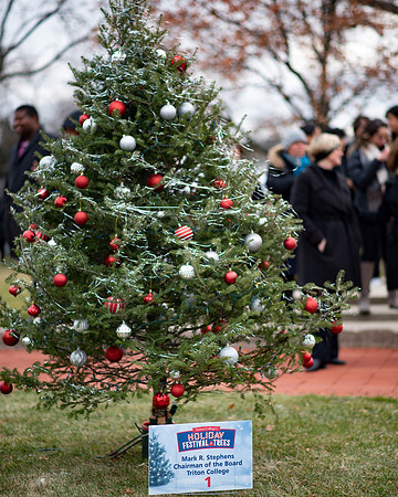 HolidayFestivalofTrees  (12)